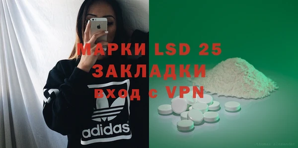 ПСИЛОЦИБИНОВЫЕ ГРИБЫ Инсар