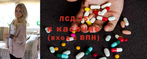 ПСИЛОЦИБИНОВЫЕ ГРИБЫ Инсар