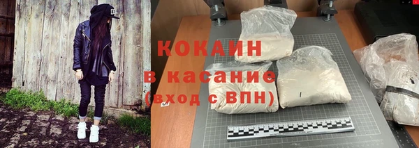 ПСИЛОЦИБИНОВЫЕ ГРИБЫ Инсар