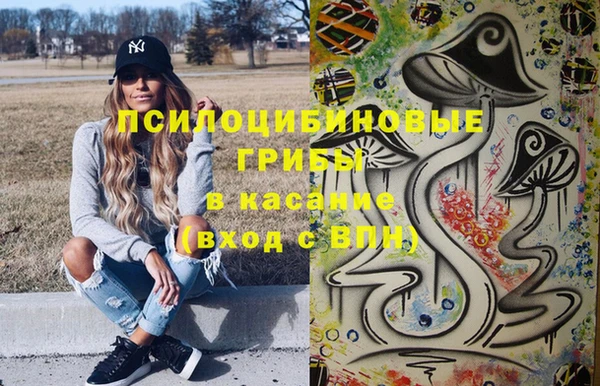 ПСИЛОЦИБИНОВЫЕ ГРИБЫ Инсар