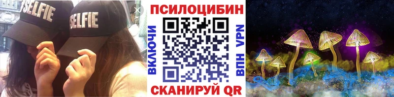 Галлюциногенные грибы Psilocybine cubensis  Купить  Жердевка 