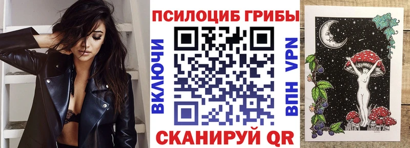 Галлюциногенные грибы Psilocybine cubensis Жердевка