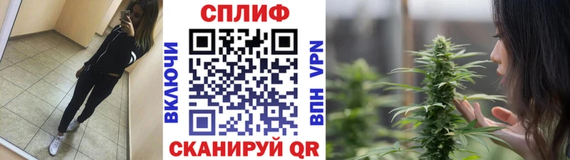 Конопля MAZAR  Купить закладки  Жердевка 